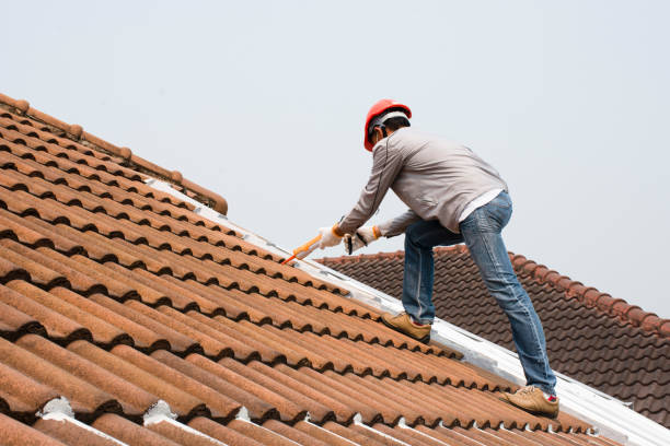 Best Roof Ventilation Installation  in Oakland, SC